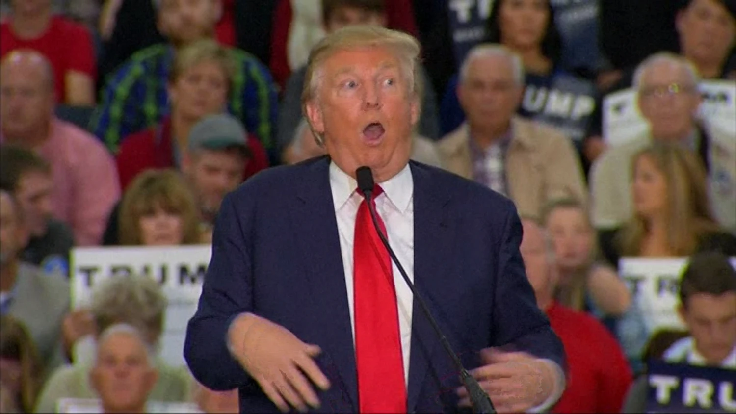 The Trump Mocked a Disabled Person Hoax